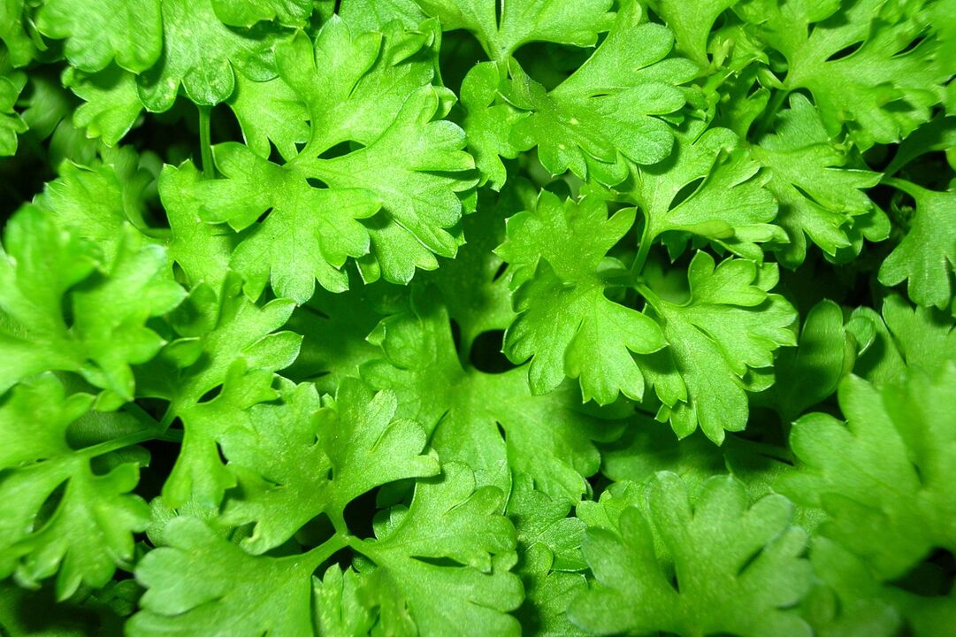 salsa para aumentar a potência